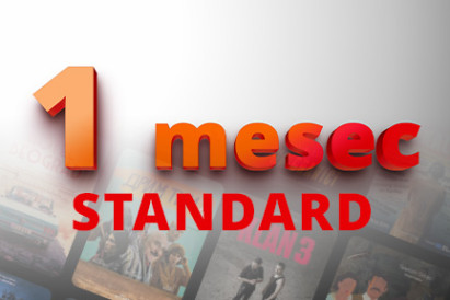 STANDARD 1